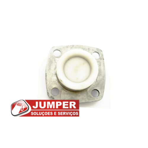 Válvula de Retenção unidade Bombeadora Wayne 3G